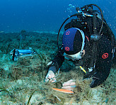<p>Scientific dive to study aquatic photosynthesis. By courtesy of Arnaud Abadie.</p>