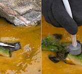 <p>Photosynthesis examined in hot springs of Greenland. By courtesy of Prof. Michael Kühl.</p>