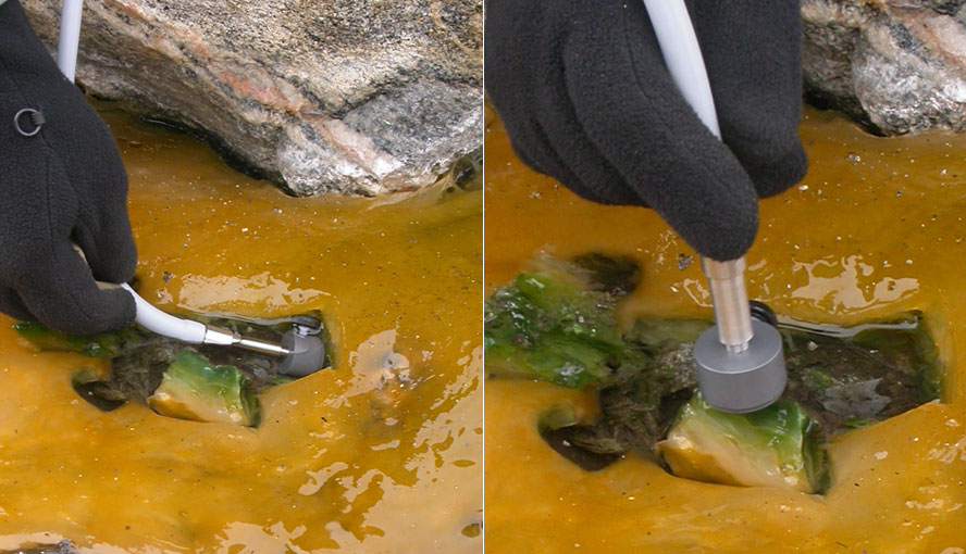 Photosynthesis examined in hot springs of Greenland. By courtesy of Prof. Michael K&uuml;hl.