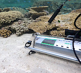<p>Underwater Oxygen Sensor DIVING-PAM-II/O2 employed in coral studies near Heron Island Research Station, The University of Queensland. Photograph courtesy of Erik Trampe.</p>
