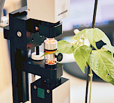 <p>Bean leaf placed between the emitter and detector heads of a DUAL-KLAS-NIR and illuminated from both sides by red, 635 nm, actinic light during a measurement.</p>