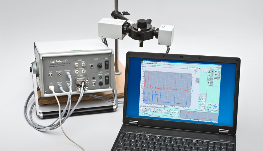 DUAL-PAM-100 control unit (left) with near infrared emitter head and P700/fluorescence detector head connected to an optical unit type ED-101US/MD.