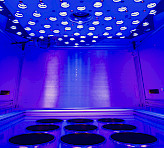<p>HEXAGON-IMAGING-PAM sample chamber during illumination</p>
