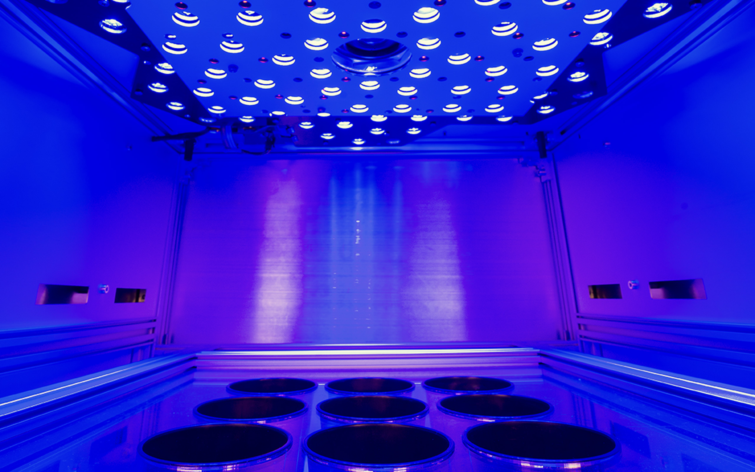 HEXAGON-IMAGING-PAM sample chamber during illumination