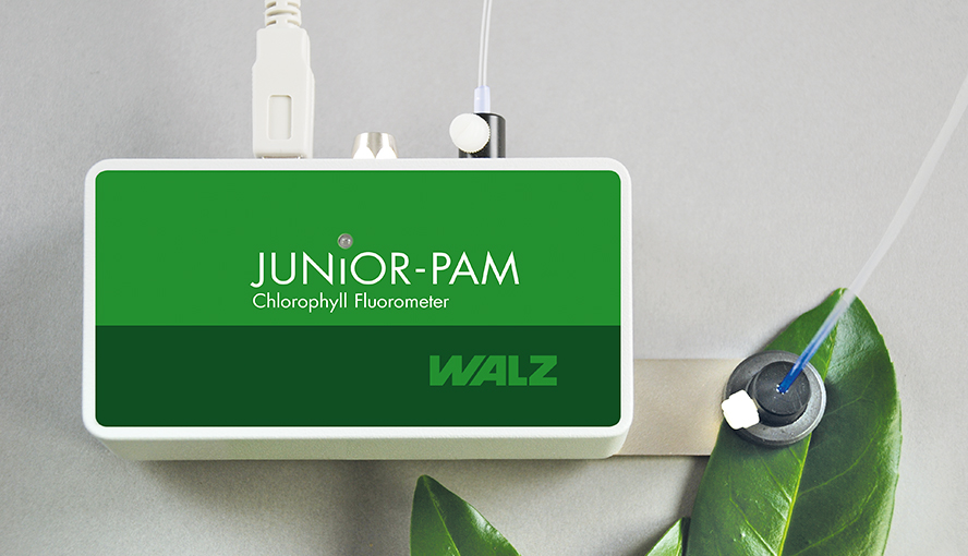 JUNIOR-PAM with magnetic leaf-clip on swivel-type support.