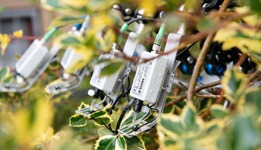 Four MICRO-HEADs carrying out saturation pulse analysis with variegated leaves.