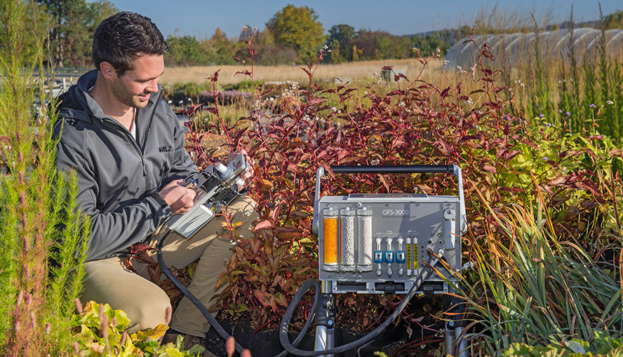 Portable gas exchange and fluorescence system: high precision measurements of CO2-uptake and stomatal conductance of plants.