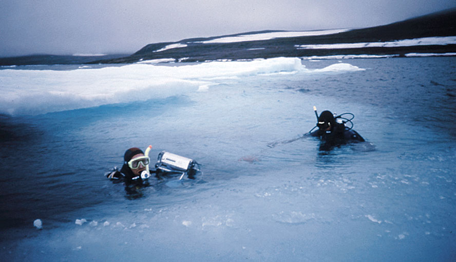 Studying brown algal photosynthesis in icy waters using the DIVING-PAM Underwater Fluorometer.