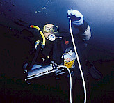Studying brown algal photosynthesis in icy waters using the DIVING-PAM Underwater Fluorometer.