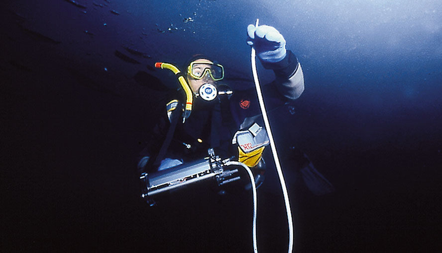 Studying brown algal photosynthesis in icy waters using the DIVING-PAM Underwater Fluorometer.