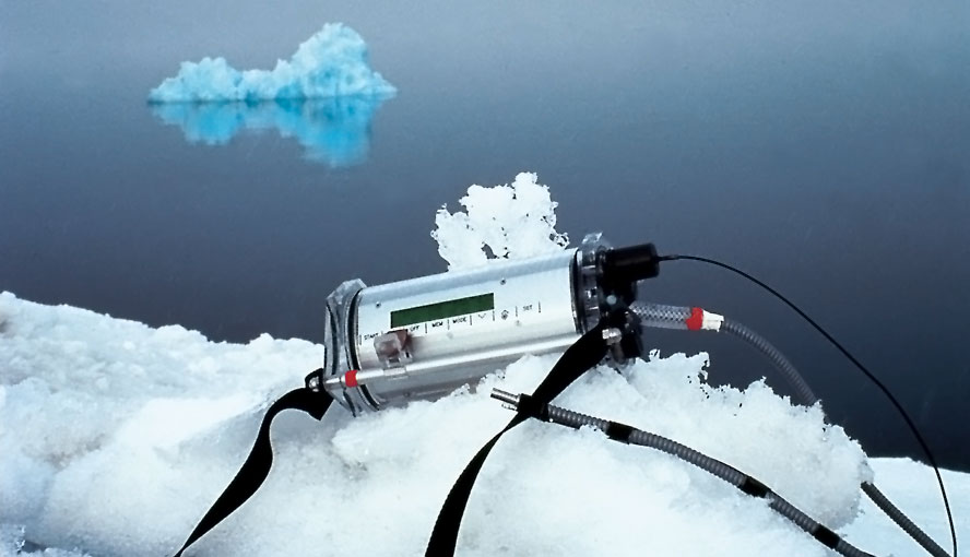 Studying brown algal photosynthesis in icy waters using the DIVING-PAM Underwater Fluorometer.