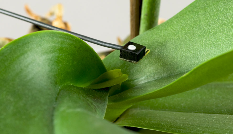The LS-C Sensor.