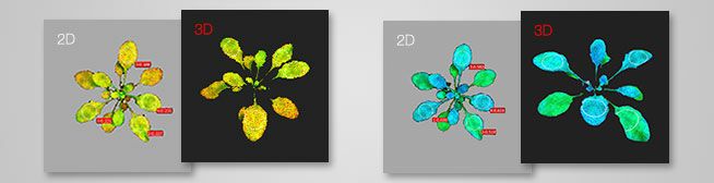 2D to 3D