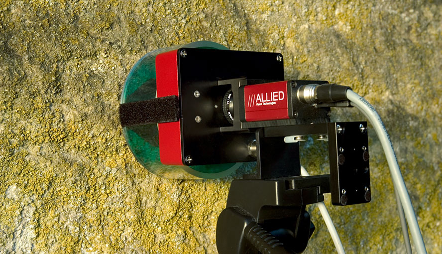 M-Series MINI version with IMAG-MIN/BK Leaf Holder mounted on tripod.