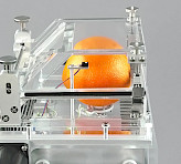 Gas-Exchange Chamber 3010-GWK1 with fruit-chamber designed on customer request.