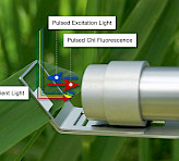 Measuring end of emitter-detector unit MONI-HEAD/485. Light paths of fluorescence excitation and detection as well as for ambient light measurements are indicated.