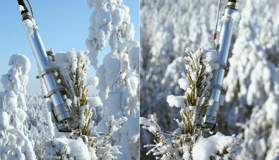 Monitoring head (first generation): Boreal woodland, Finland.Photography by courtesy of Albert Porcar-Castell.