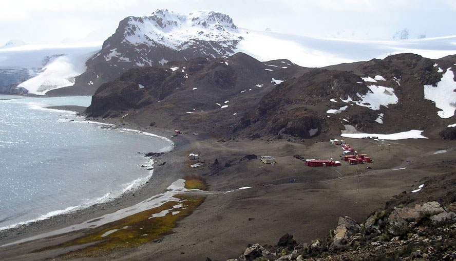 Monitoring of lichen photosynthesis: Livinston Island base camp, Antarctica.Photography by courtesy of Rolf Gademann.