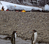 Monitoring of lichen photosynthesis: Livinston Island base camp, Antarctica.<br />Photography by courtesy of Rolf Gademann.
