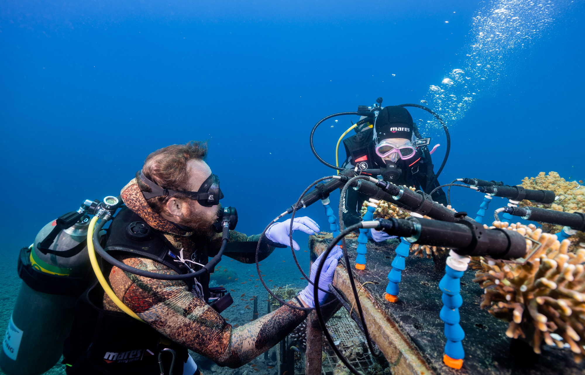 Coral Monitoring Station, realtime open access data on coral health. Photo credit: Omri Omessi.