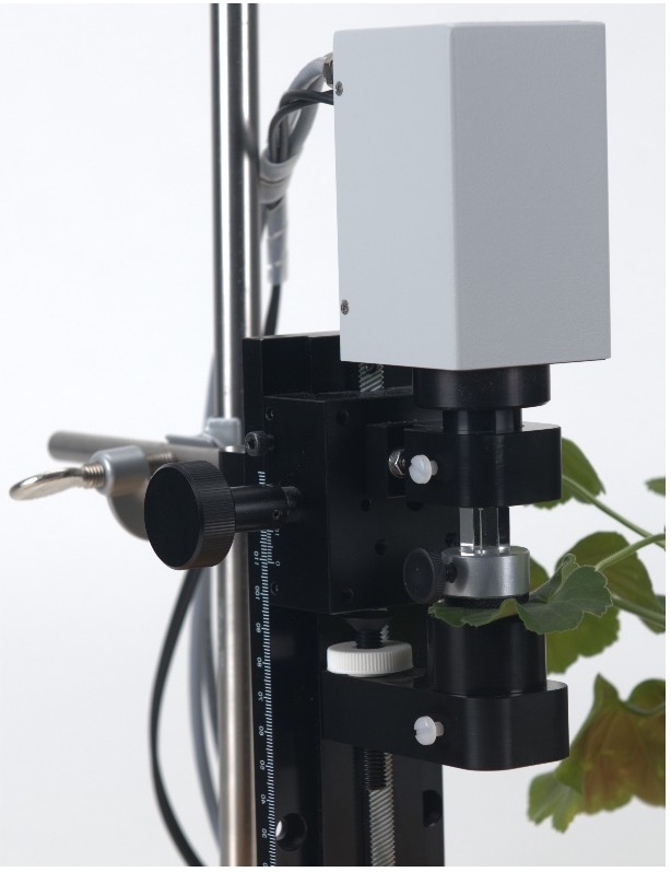 Single Turnover Kinetics (STK) configuration for leaf measurements (see below)&nbsp;
