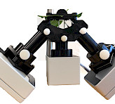 The two-wavelength fluorescence detection of a barley leaf with this configuration is illustrated below.<br> 