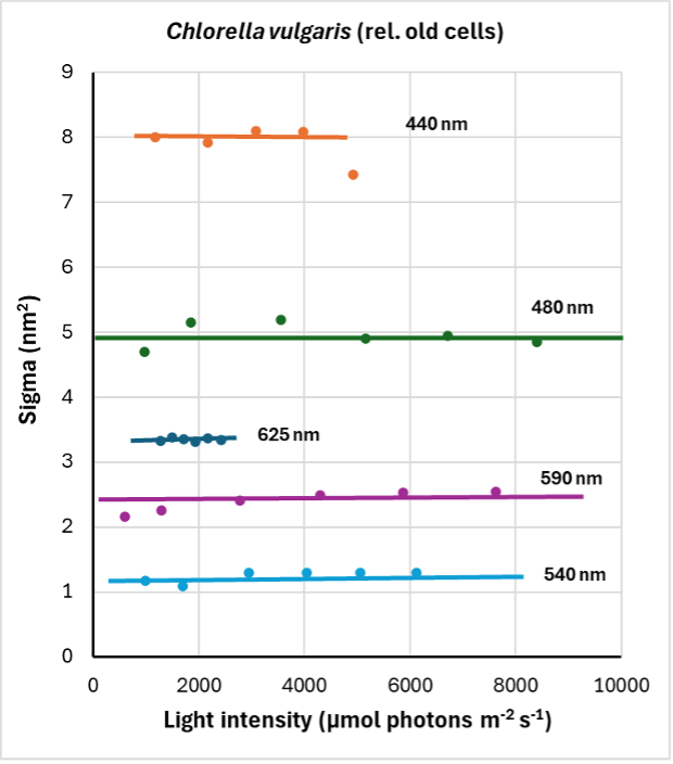 For this experiment, the connectivity parameter J was fixed to 1.2, the value obtained by Anne and Pierre Joliot in 1964. The dataset shows near perfect fits, reasonable parameter values and in essence an independence of the light intensity at high light intensities, yielding well-defined O-I1 kinetics.