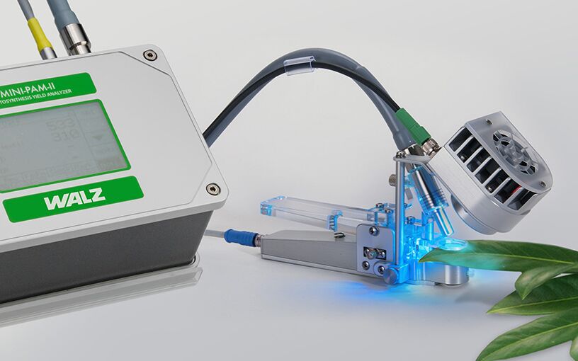 External LED Light Source 2054-L providing red, green, blue, and white light.