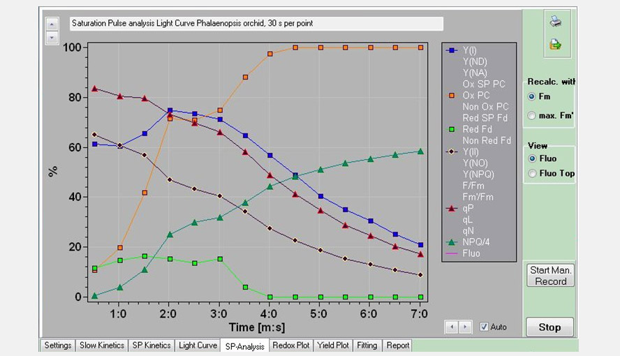 Screenshot of the SP-Analysis window. Several PS I and PS II parameters of the Light Curve experiment are shown as a function of time (each point represents a light intensity). Beyond point 6 (82 µmol photons m-2 s-1) a new phase sets in with PS I becoming more and more oxidized, PS II becoming more reduced and a new phase in NPQ induction.