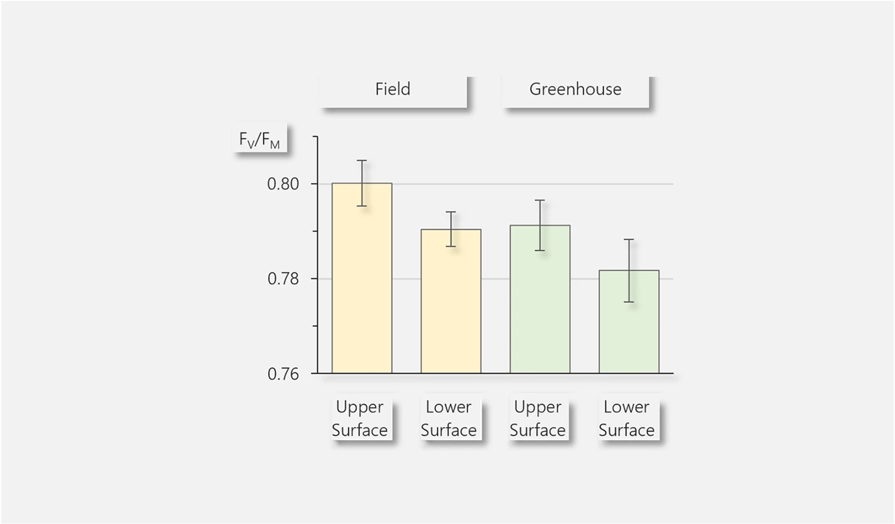 Maximum photochemical quantum yield of photosystem II, FV/FM. The largest FV/FM was measures on the upper side of field-grown leaves, the smallest FV/FM had the lower side of greenhouse-grown leaves. The data is in agreement with Wientjes et al. (2013) J Phys Chem B 117: 11200&minus;11208 who have ascribed high FV/FM to acclimation to high light intensities of the light harvesting antenna of photosystem II. (Turn back for experimental information.)&nbsp;