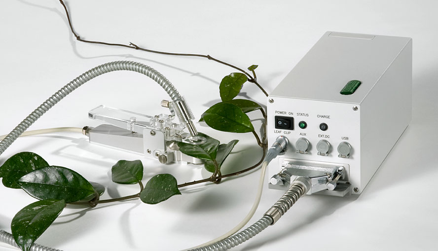 PAM-2500 chlorophyll fluorometer with fiber optics positioned in first-generation leaf clip 2030-B&nbsp;