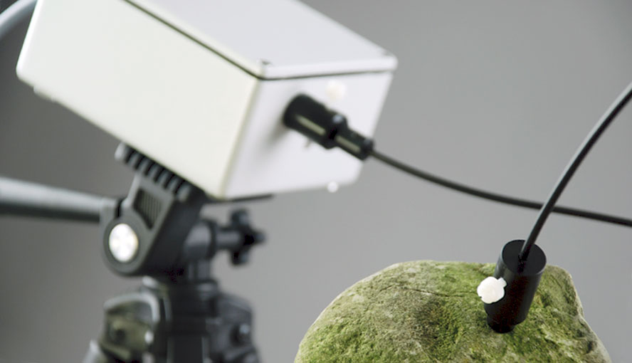 WATER-EDF, the emitter-detector unit of WATER-PAM FIBER Version mounted on stand ST-101.