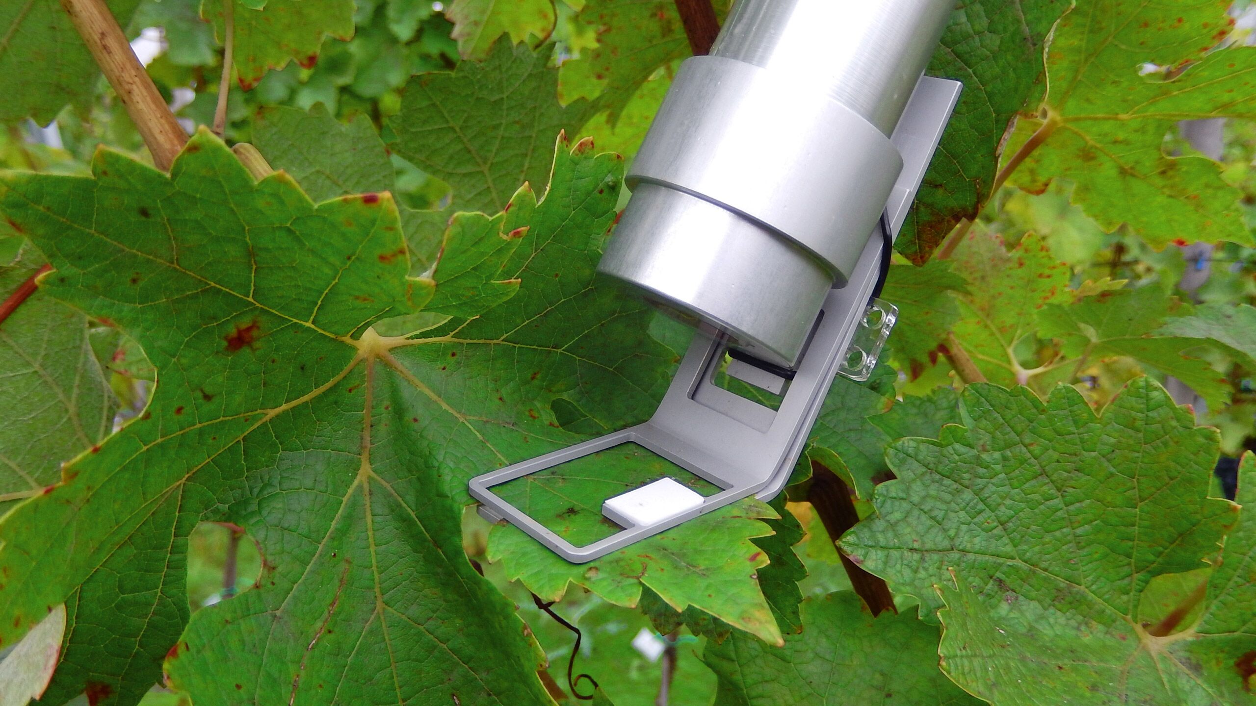 MONITORING-PAM Chlorophyll Fluorometer