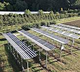Aerial view of an Agri-PV trial site with solar modules mounted above young sweet cherry trees at the Obstinformationszentrum Fränkische Schweiz, Hiltpoltstein.