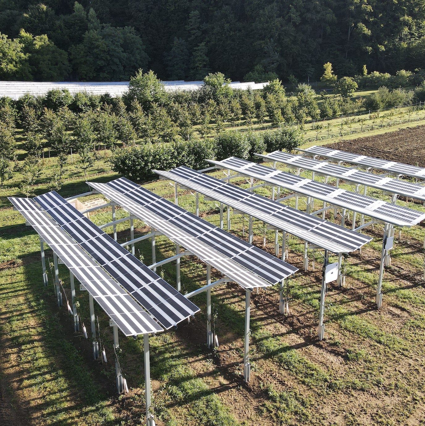 Aerial view of an Agri-PV trial site with solar modules mounted above young sweet cherry trees at the Obstinformationszentrum Fr&auml;nkische Schweiz, Hiltpoltstein.