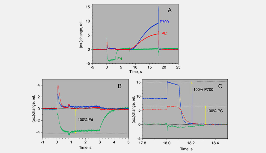Three graphs demonstrating example of an experiment to scale the deconvoluted ferredoxin, P700 and plastocyanin signals measured with the DUAL-KLAS-NIR