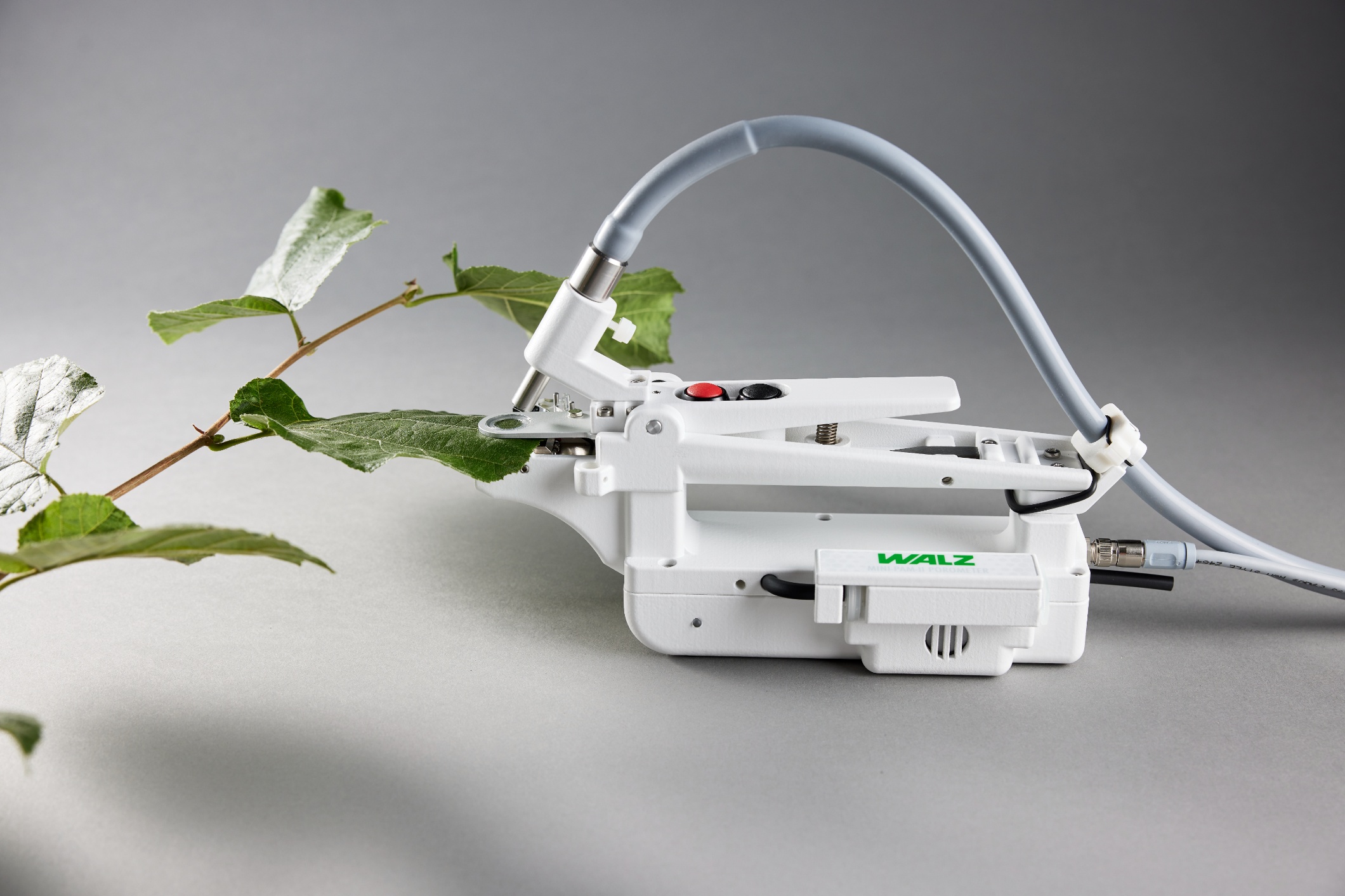 POROMETER measuring stomatal conductance and water evaporation on broad leaves