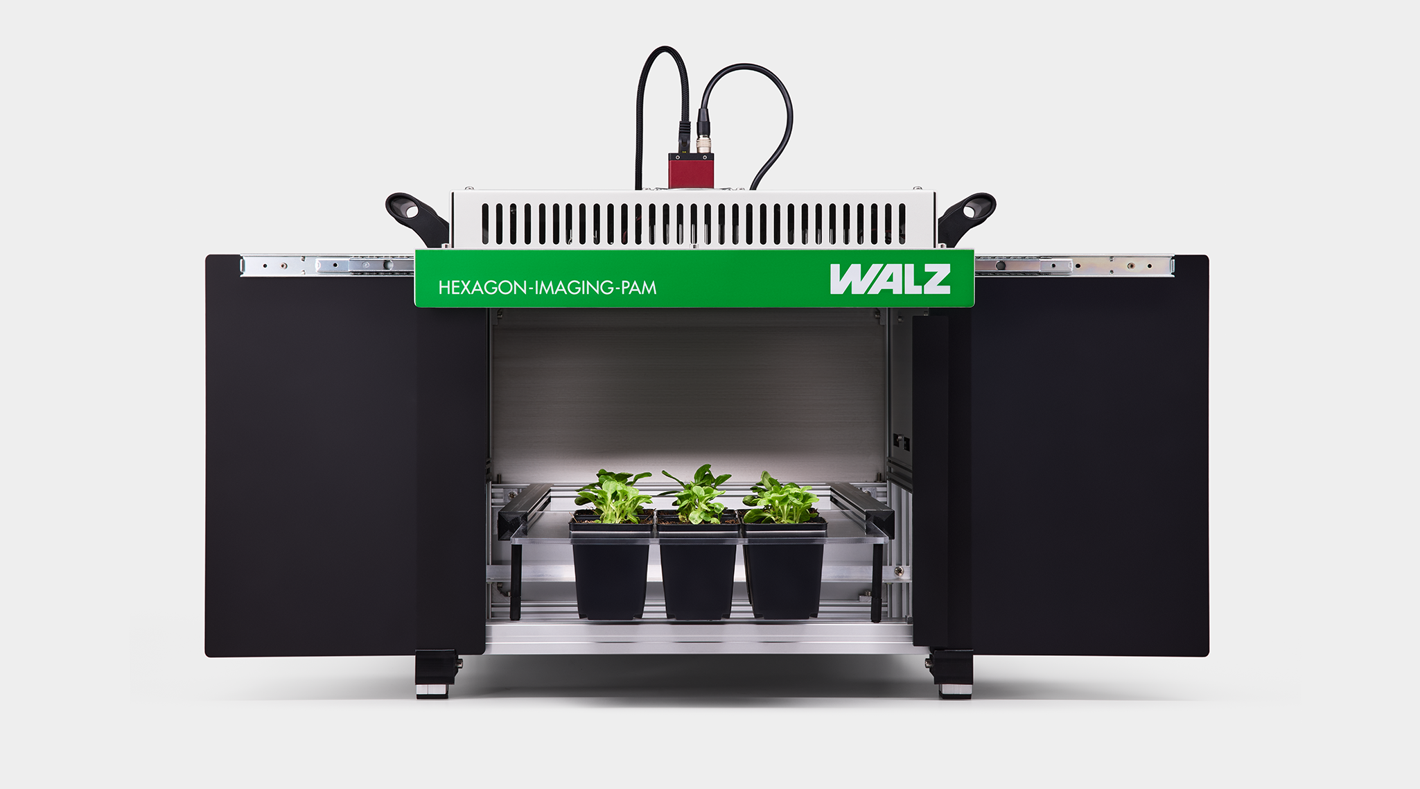 Measuring setup for flat samples