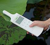 LSA-2050 measuring chlorophyll content and UV screening on a lotus leaf
