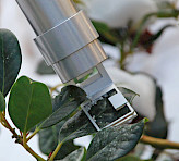 Monitoring of acclimation to low temperatures (Holly, Ilex aquifolium Cultivar: J.C. van Tol).