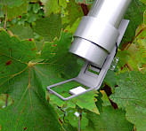 MONI-HEAD measuring head attached to a leaf for measurement