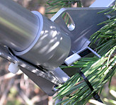 Monitoring photosynthesis in conifer needles. Picture by courtesy of Albert Porcar-Castell, University of Helsinki.