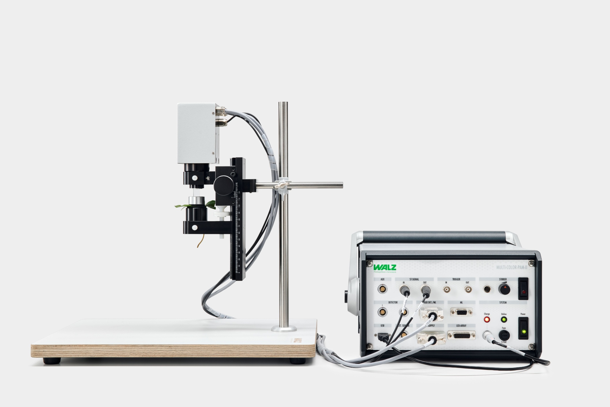 Standalone configuration of the strong flash lamp MCP-II-EDST of the MULTI-COLOR-PAM-II with the leaf support accessory MCP-II-LS keeping the leaf in place.