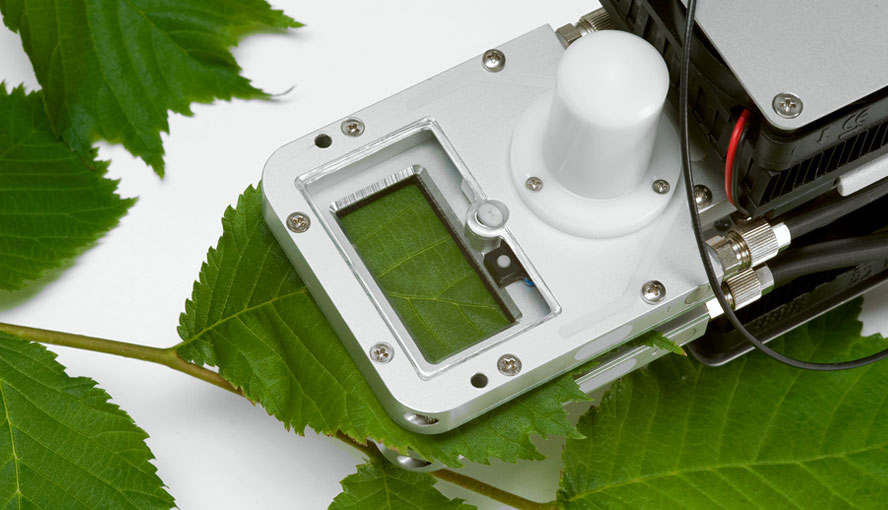 Close-up of the Standard Measuring Head 3010-S showing the measured leaf area inside the chamber