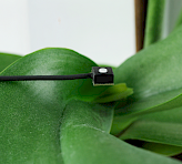 Tiny Versatile Mini Quantum Sensor