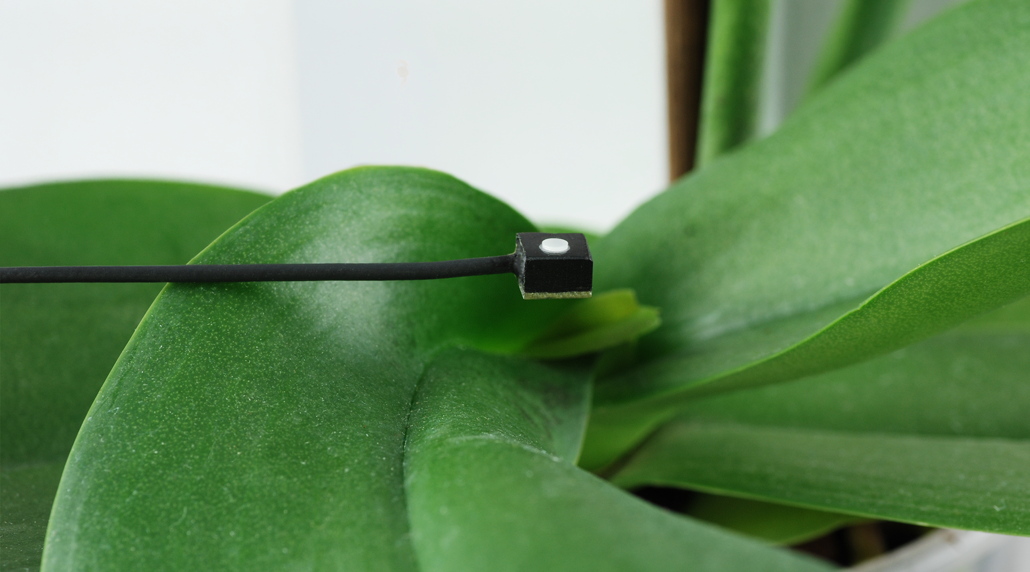 Tiny Versatile Mini Quantum Sensor