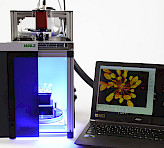 IMAG-3D during saturating flash (up to 5000 μmol m-2 s-1).