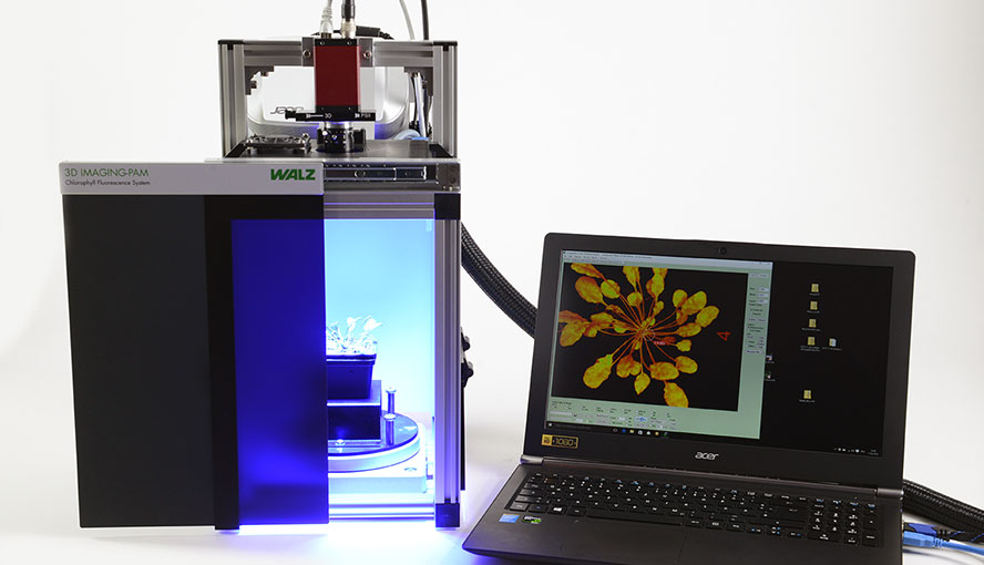 IMAG-3D during saturating flash (up to 5000 μmol m-2 s-1).
