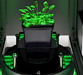 Sample illuminated by a stripe pattern of green light.