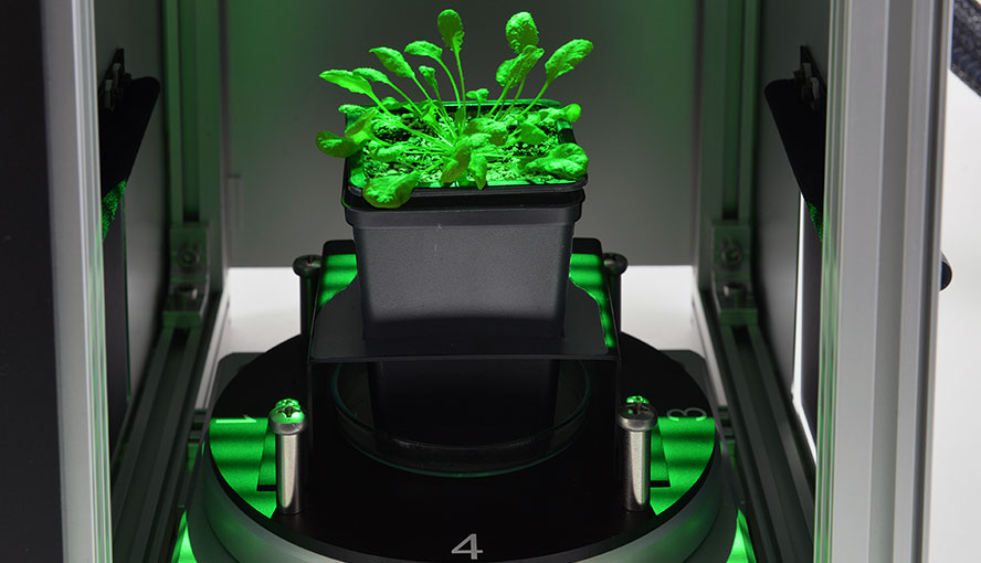 Sample illuminated by a stripe pattern of green light.